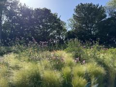 Megrass Garden Nagoya(เมกราส การ์เดน นาโกยา)
