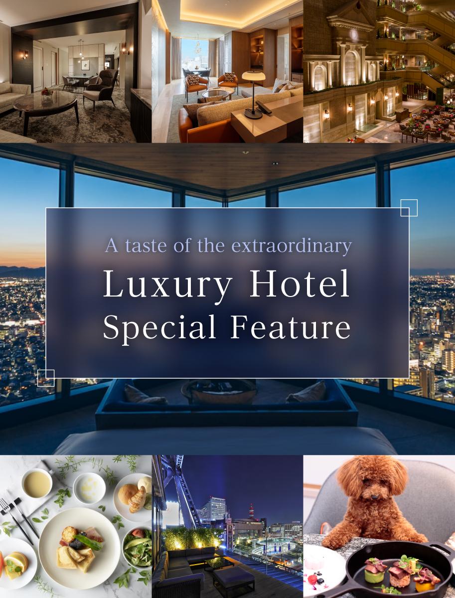 Luxury Hotel Special Feature