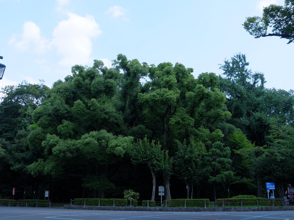 断夫山古墳