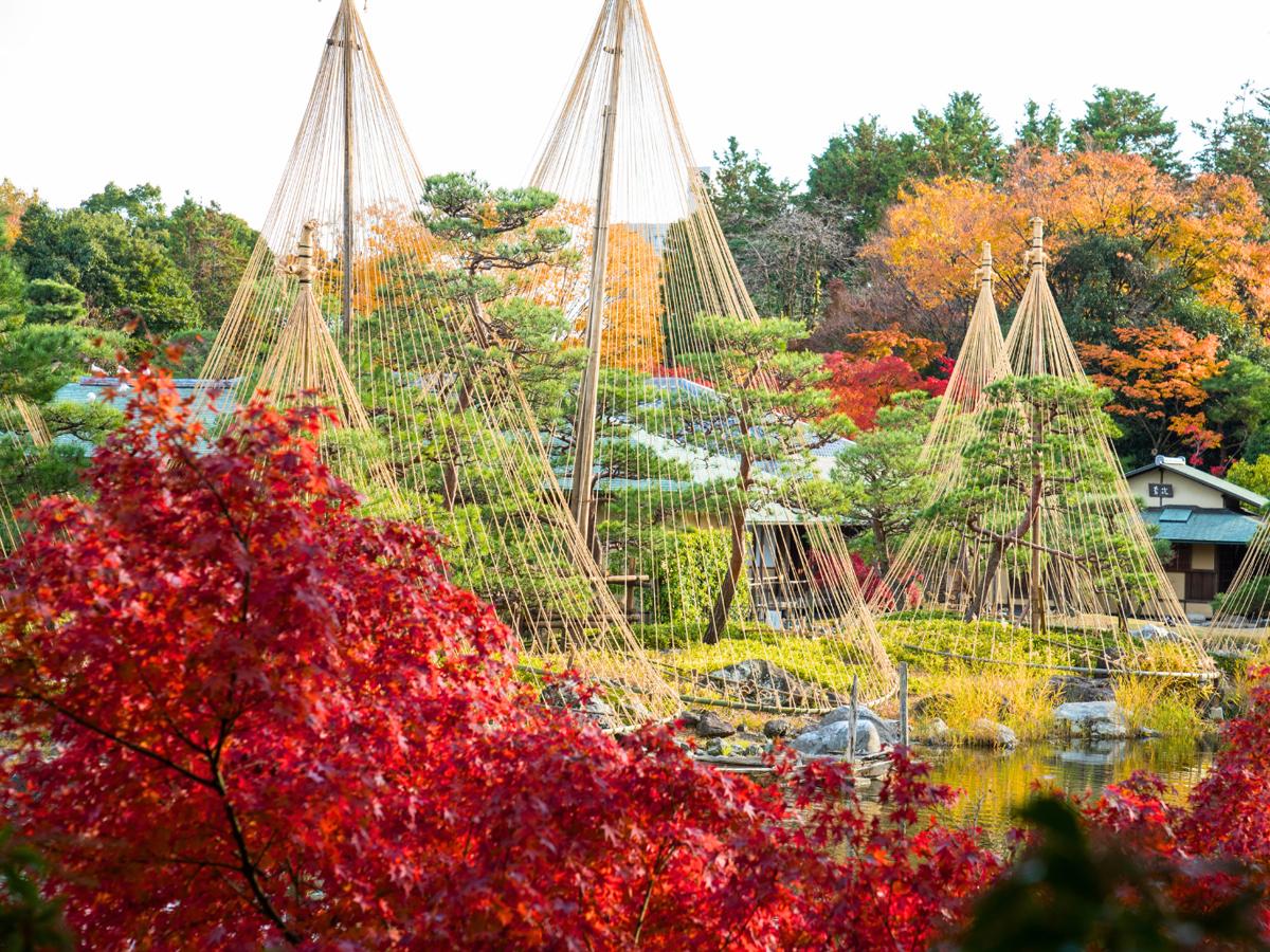 Atsuta Shrine & Shirotori Garden Tour