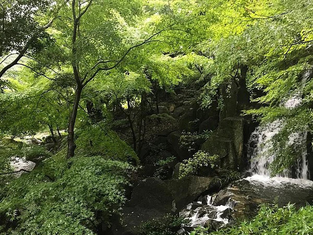 tokugawa garden