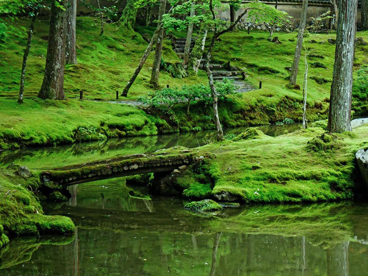 Experience Japanese Culture Firsthand  ≪Shakuhachi Experience