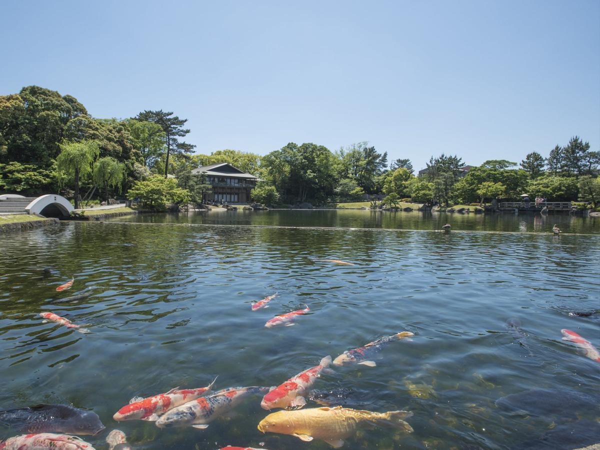 Nagoya Castle & Tokugawa Art Museum and Garden