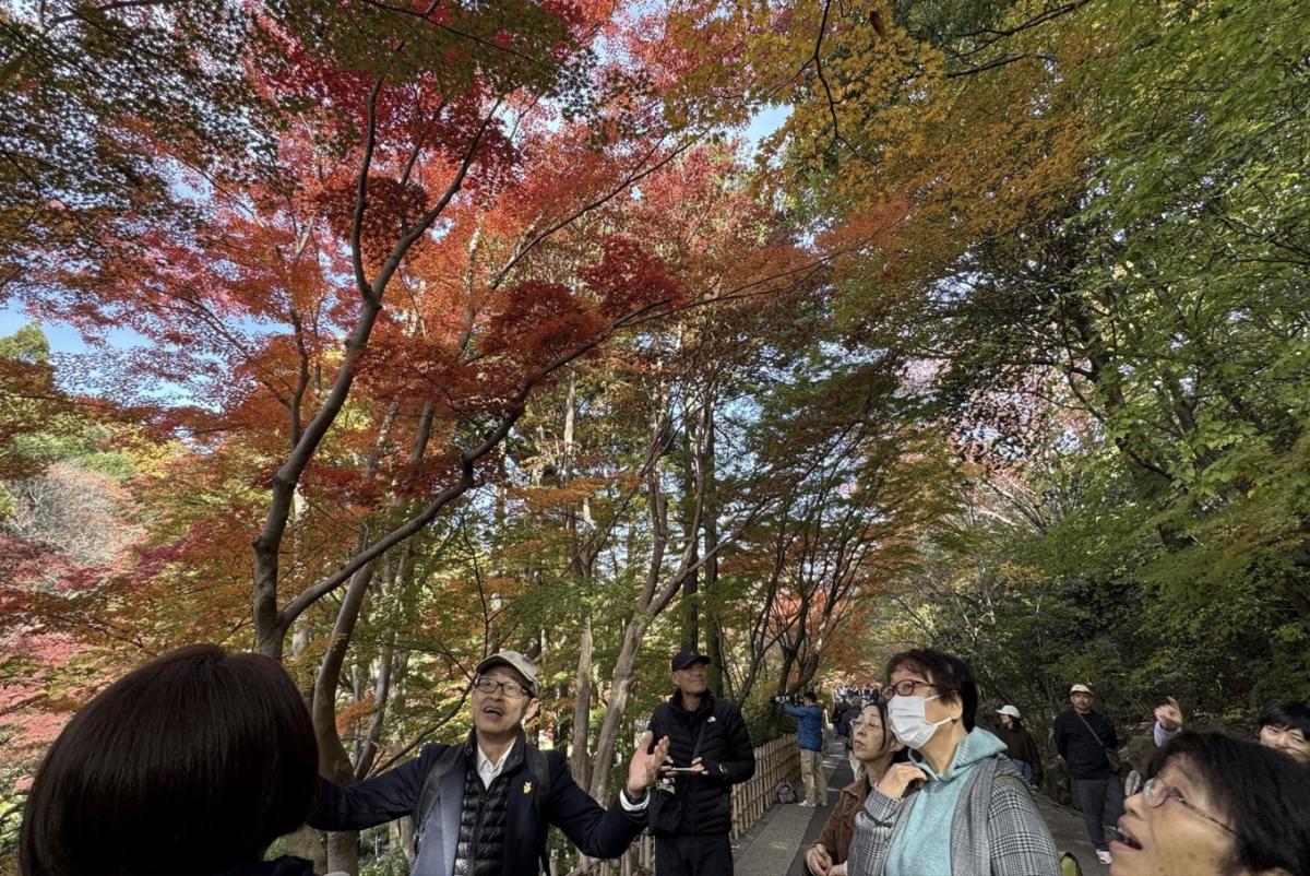 【東山植物園・紅葉】奥池に映る神秘的な“逆さもみじ”!真っ赤に色づく紅葉園遊会ツアー