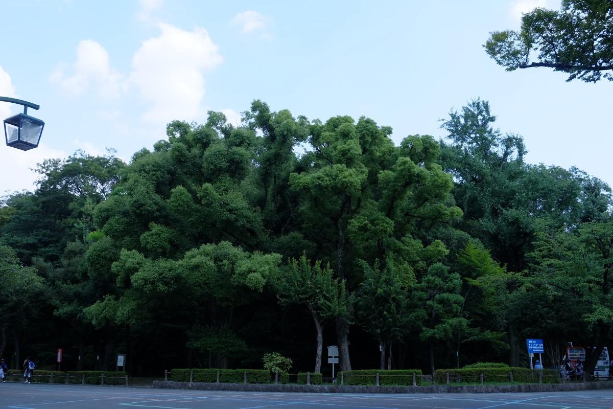 まちなか古墳さんぽツアー
