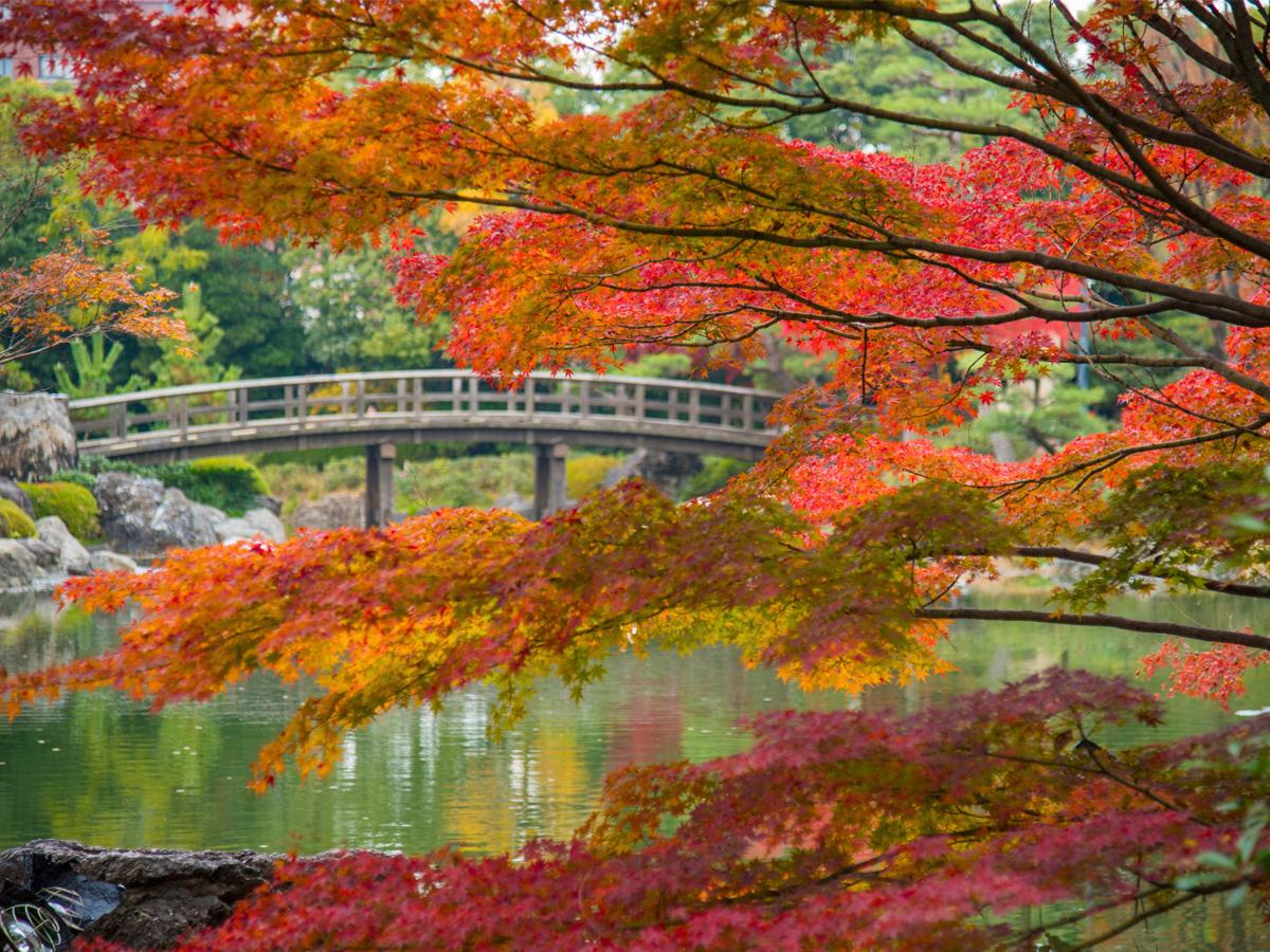 Atsuta Shrine & Shirotori Garden Tour
