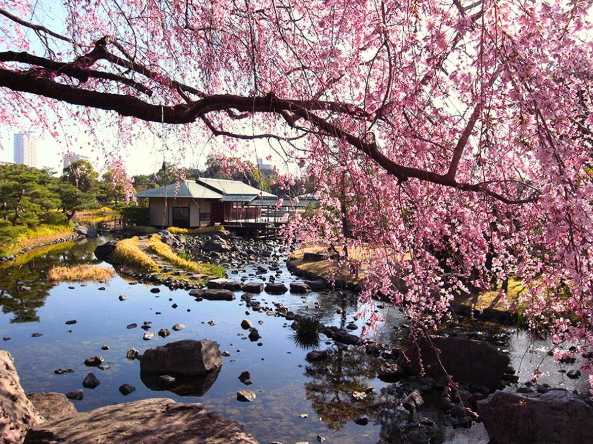 Atsuta Shrine & Shirotori Garden Tour