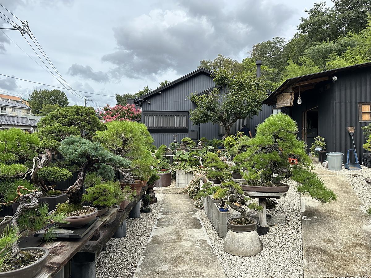 三つ脚緑の古い盆栽鉢「春翠」 三つ脚緑の古い盆栽鉢「春翠」