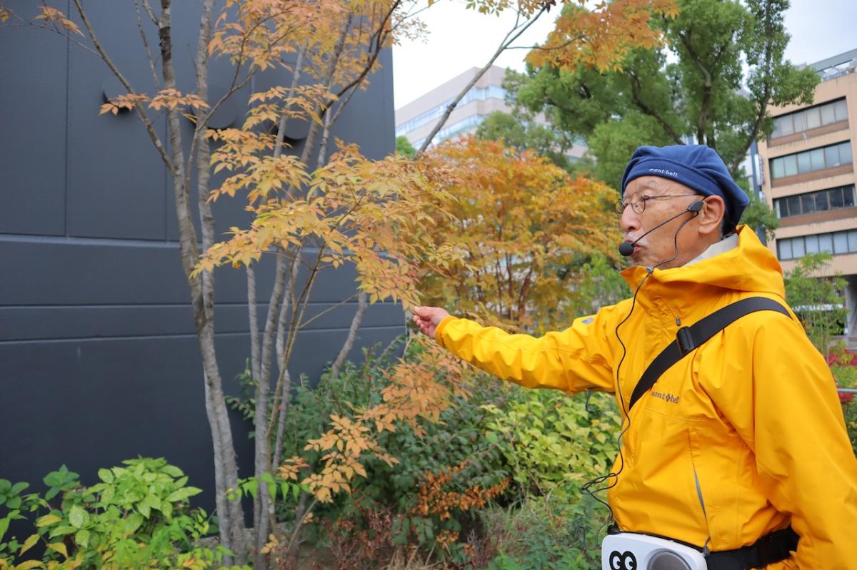 【都市公園】最近の街路樹の流行りを知ってる?都市緑化の専門家と見る、都心のオアシス久屋大通公園周辺の緑化事情