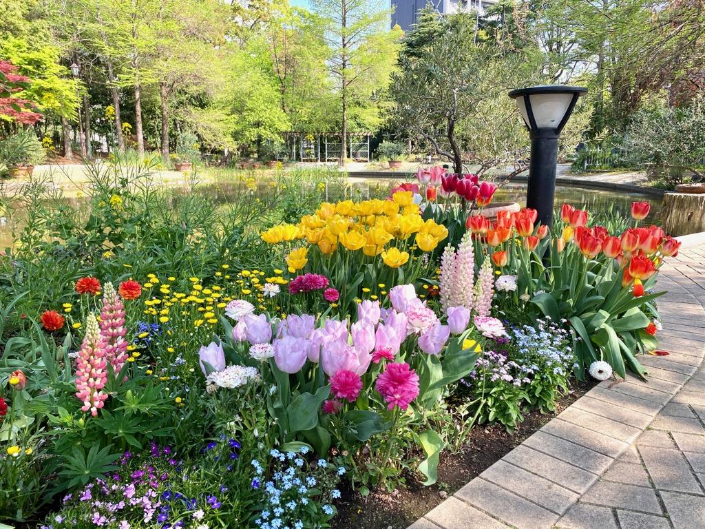 【生物観察】ルーペで覗く小さく美しい世界!春の園芸植物と野生植物〈久屋大通庭園フラリエとその周辺編〉