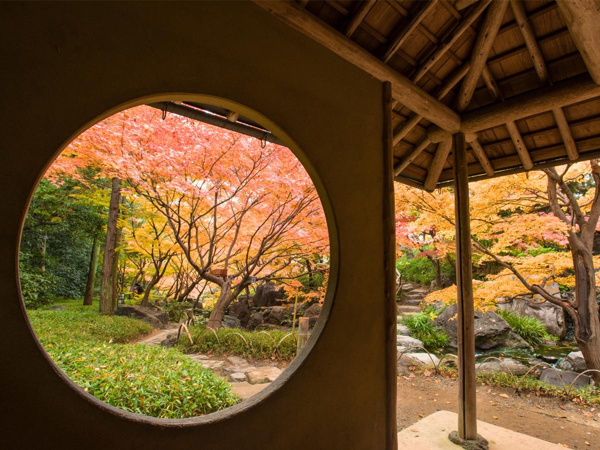 Atsuta Shrine & Shirotori Garden Tour