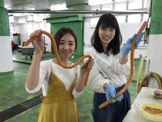 守口漬　体験