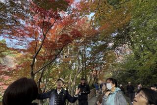 【東山植物園・紅葉】奥池に映る神秘的な“逆さもみじ”！真っ赤に色づく紅葉園遊会ツアー