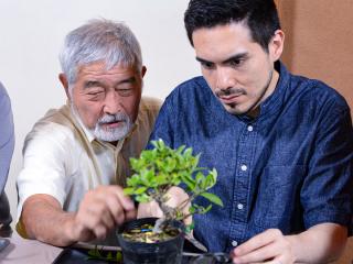 Bonsai &amp; Sencha Tea Experience in NAGOYA