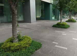 生物路上観察ツアー