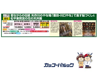 矢作川のやな場「豊田・川口」で食す鮎づくしと松平東照宮の花の天井画