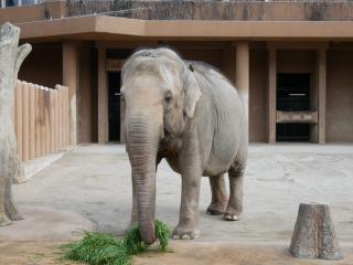 元動物園長と巡る大人の東山動植物園ツアー