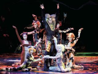 CATS