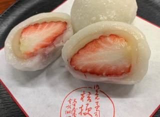 『桔梗園』春の和菓子づくりツアー
