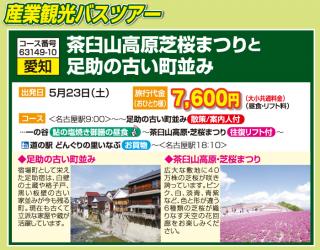 茶臼山高原芝桜まつりと足助の古い町並み