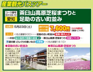 茶臼山高原芝桜まつりと足助の古い町並み