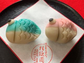 端午の節句にぴったりなこいのぼりの練り切りとかしわ餅づくり