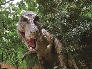 ディノアドベンチャー