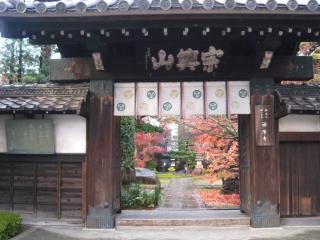 紅葉に染まる東寺町散歩