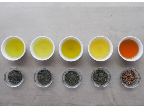 お茶三昧ツアー