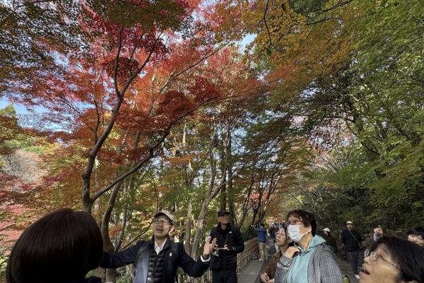 【東山植物園・紅葉】奥池に映る神秘的な“逆さもみじ”！真っ赤に色づく紅葉園遊会ツアー