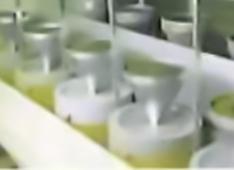 あいや抹茶ミュージアム