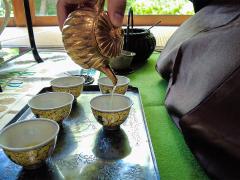 Bonsai & Sencha Tea Experience in NAGOYA