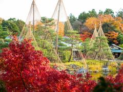 Atsuta Shrine & Shirotori Garden Tour