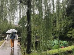 tokugawa garden