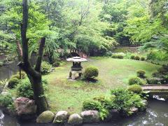 Tea Ceremony ExperienceTea Ceremony Experience