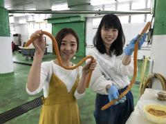 守口漬　体験