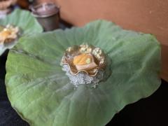 【料亭・茶道】七夕で夏の味覚を茶席で楽しむ「御懐石志ら玉」盛夏のお茶懐石ツアー