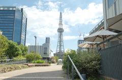 【都市公園】最近の街路樹の流行りを知ってる?都市緑化の専門家と見る、都心のオアシス久屋大通公園周辺の緑化事情