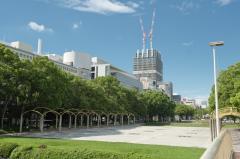 【都市公園】最近の街路樹の流行りを知ってる?都市緑化の専門家と見る、都心のオアシス久屋大通公園周辺の緑化事情