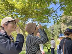 【生物観察】毒!危険!こわ~い植物ツアー〈東山植物園編〉