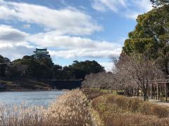「御土居下同心」は忍者集団だったのか？藩主から密命を帯びた集団の痕跡巡り