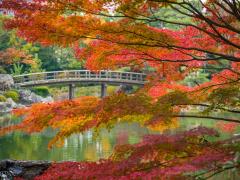 Atsuta Shrine & Shirotori Garden Tour