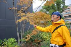 【都市公園】最近の街路樹の流行りを知ってる?都市緑化の専門家と見る、都心のオアシス久屋大通公園周辺の緑化事情