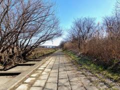 矢田川河川敷