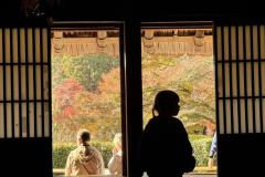 【東山植物園・紅葉】奥池に映る神秘的な“逆さもみじ”!真っ赤に色づく紅葉園遊会ツアー