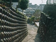 Bonsai & Sencha Tea Experience in NAGOYA