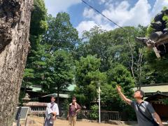 【妖怪・岡本太郎】怪が湧きたつ「尼ケ坂」。身分違いの恋の悲しい結末、辻斬り、天狗まで！名古屋百鬼夜行ツアー